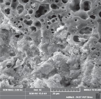 a,b SEM snímek malty exponované v prostředí o zvýšené koncentraci CO 2 po pěti měsících s následnou expozicí při 1 000 C Fig.