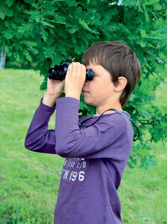 VÝPRAVA DO AREÁLU LESNÍCH HER STOŽEC Kdy: říjen, duben červen Délka programu: 3 5 hodin Navštivte s námi výjimečný areál lesních her u Stožce, kde se pomocí prožitků a her blíže seznámíte s lesem a