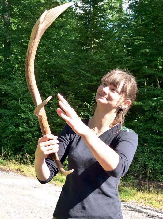 STEZKA DO KORUN STROMŮ Kdy: říjen listopad, březen červen Délka programu: celodenní Pojďme společně nahlédnout do korun stromů smíšeného lesa nedaleko Neuschönau v Bavorském lese.