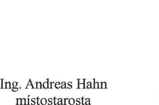 D)pověřuje vedoucího odboru místního hospodářství a IV aby za Město Kravaře podepsal nabídku uchazeče do výběrového řízení, aby se jako pověřený zástupce Města Kravaře osobně zúčastnil následné aukce