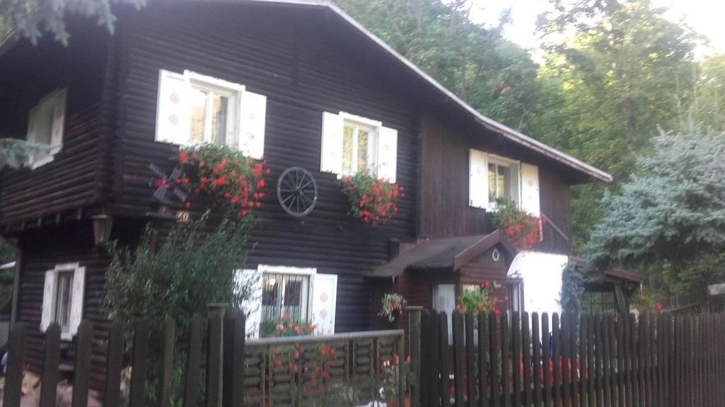Pořízená