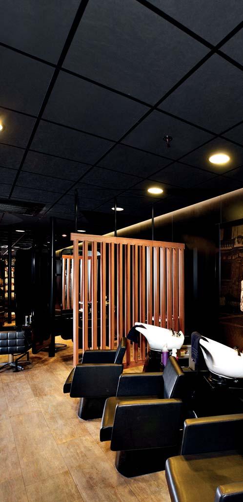 V praxi: Tonga, Tonga Therm, Eurobaffle a Acoustished akustické podhledy v odstínu Noir V7 EUROCOLORS Barevné řešení vašich podhledů!