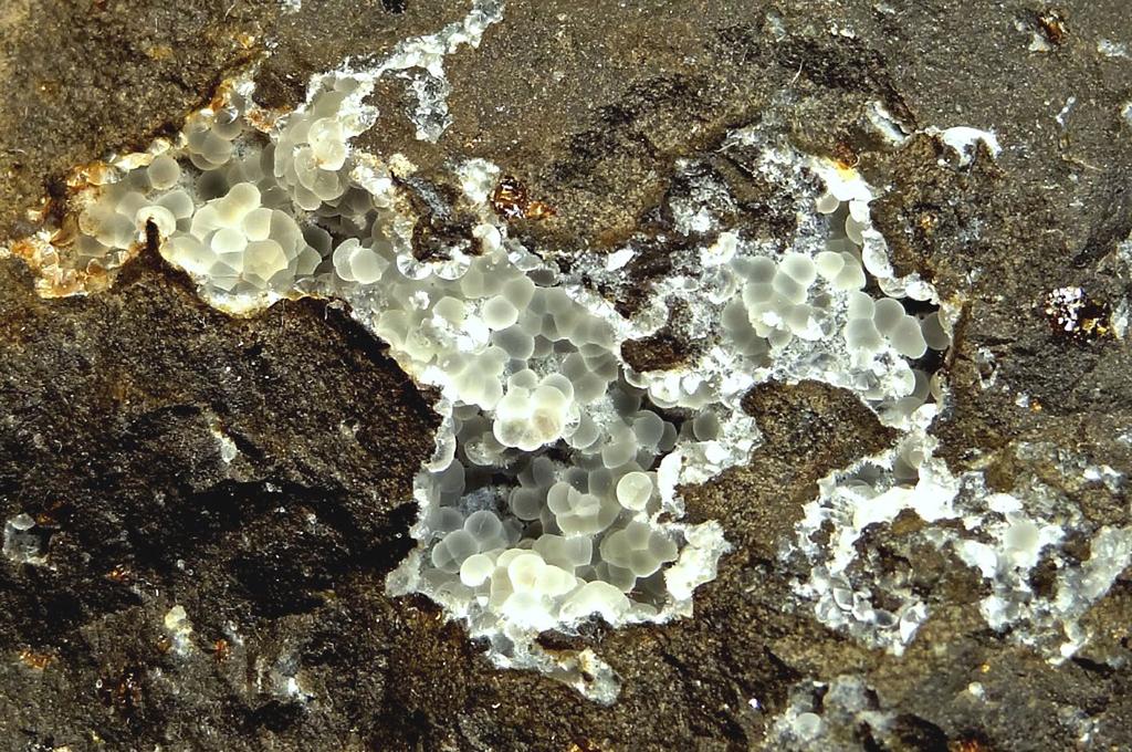 vulkanogenních hornin vícero typů, včetně šedých či namodralých, hodně proplyněných, patrně i sklovitých vulkanitů s výraznou proudovou texturou.