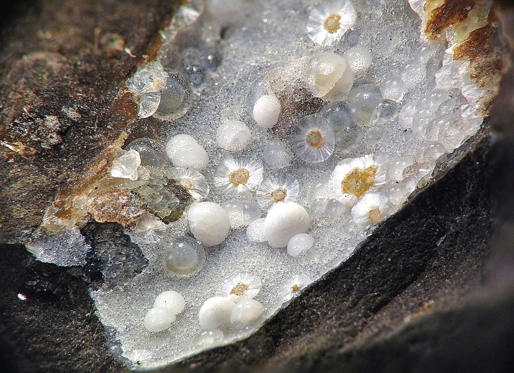 V dutinách bazaltů bývá kalcit nebo bělavá výstelka z velice jemných bělavých krystalů phillipsitu, na které místy nasedají jednotlivě vyvinuté drobné čiré skelně lesklé klence chabazitu.