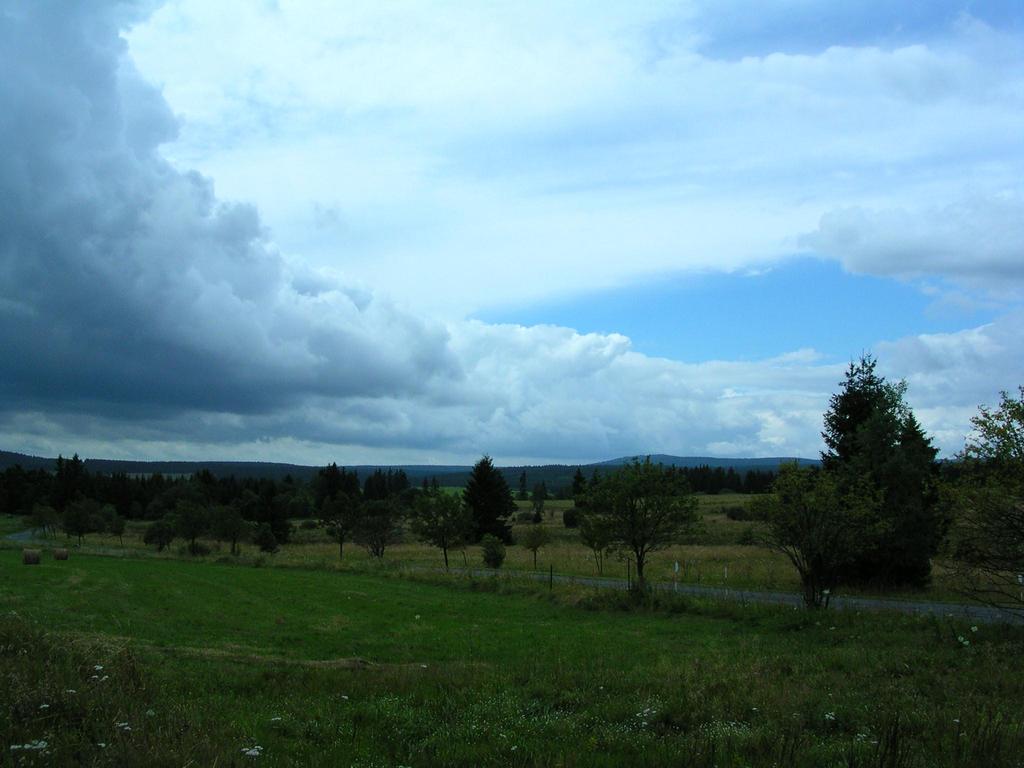 Aktivní