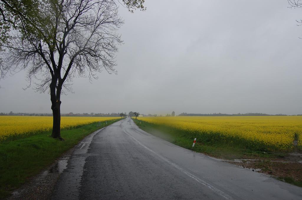 Děkuji za