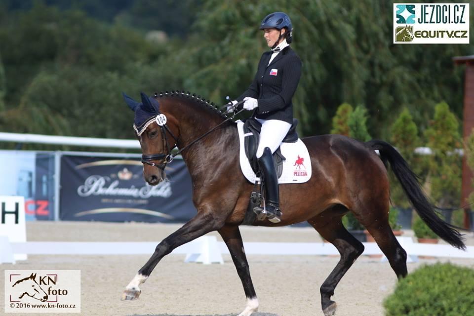 Foto: Kateřina Návojová, Jezdci.cz Myška pátý na CCI2 v Casorate Sempione Jezdci všestrannosti se účastnili výjezdu do italského Casorate Sempione. V soutěžích CCI1 a CCI2 jsme měli čtyři dvojice.