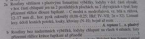 Klíč ke květeně České republiky znaky popis druhu za pomlčkou další důležité znaky základní popis: velikost, životní forma, měsíce