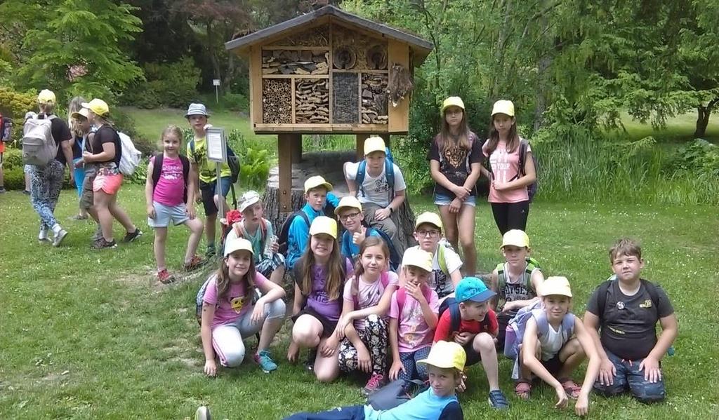 7. Další vzdělávání pedagogických pracovníků Ředitelka školy má předpoklady pro výkon funkce ředitele školy podle 5 odst. zákona č. 563/004 Sb.