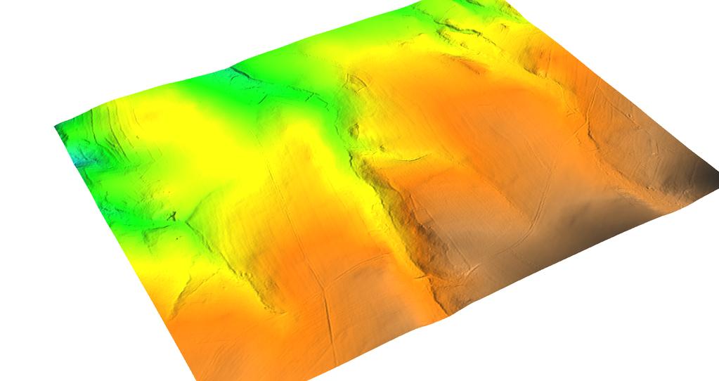 Tvorba modelu polí Rastrová reprezentace geoprvku Porovnání rastrové a vektorové reprezentace geoprvku Digitální model terénu Digitální model terénu Digitální model reliéfu (DMR) Digital terrain