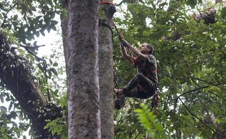 organizacemi na ochranu přírody na Sumatře; spolek Prales dětem rozšíří od roku 2019 proti-pytlácké