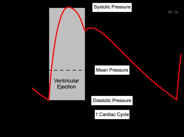 Systémová vaskulární rezistence (SVR) SVR = (MAP-CVP)/CO Grafické určení dle invazivního měření MAP = střední arteriální tlak (mean arterial pressure) CVP =