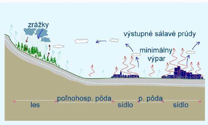 Nejnovější pohled Snaha o udržení malého vodního cyklu Zeleň a její přítomnost ve