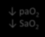 DO 2 = SaO 2 x 1,34xHb x CO pao 2