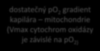 laktát, BE orgánová dysfunkce NIRS?