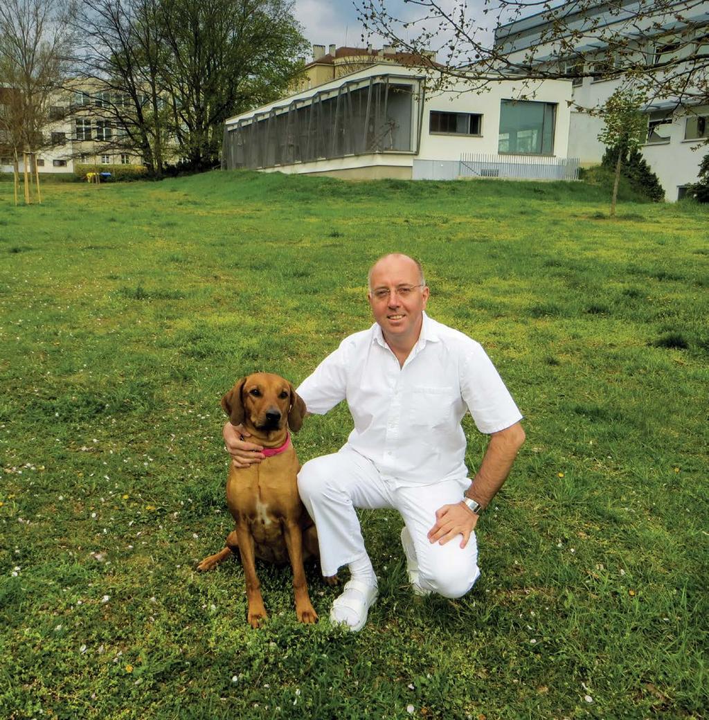 Časopis Veterinární a