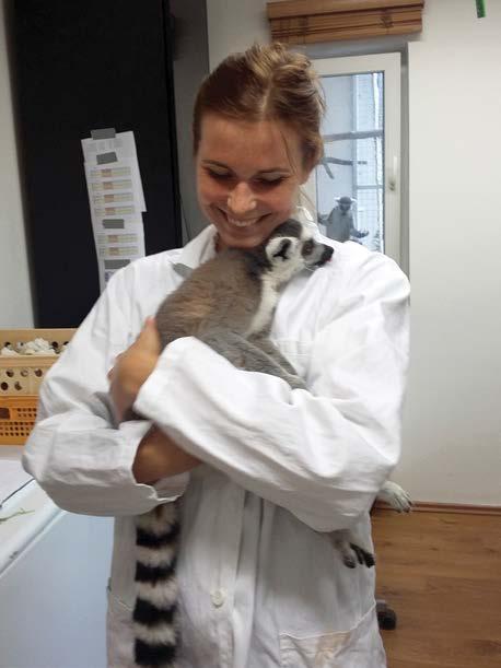 Doktorské studium na Fakultě veterinární hygieny ekologie v období 2014 2018 V uplynulých 5 letech Fakulta veterinární hygieny a ekologie VFU Brno realizovala doktorské studijní programy.