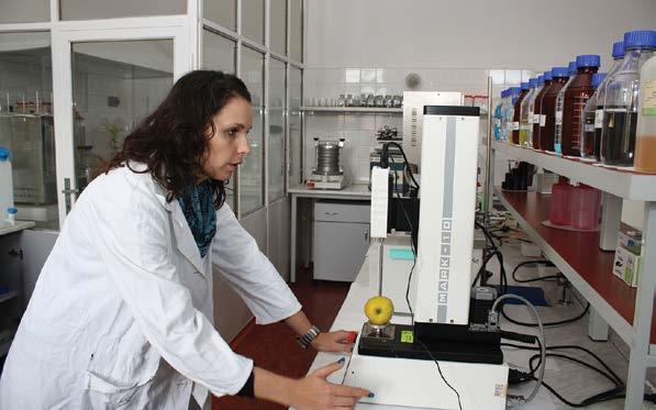 Ing. Langová Jitka Vodní aktivity a sorpční izotermy vlhkosti vybraných potravin v oblasti skladovacích teplot Hygiena a technologie potravin, 2015 Mgr.