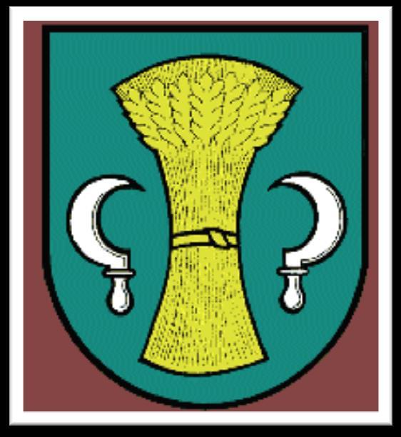 Obec Horní Bludovice sídlem: Horní Bludovice 434 IČ: 002 96 686 739 37 Horní Bludovice Usnesení č. 3/2019 z 3.