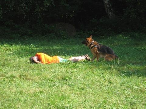 15 Psovodi Městská policie v roce 2014 disponovala 2 služebními psy, jejichž nasazení do výkonu je podmíněno dvouletým certifikátem od Policie ČR.