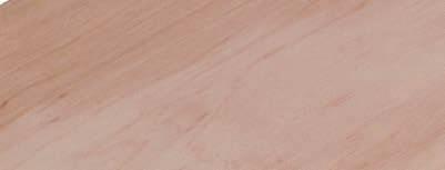 Bříza Dřevo je roztroušeně pórovité, středně tvrdé (65 MPa), s hustotou 610 kg/m3, houževnaté a pružné, neobyčejně pevné a dobře štípatelné.