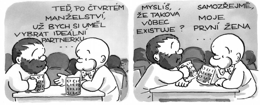 Hledání ideální partnerky Který vůl mu