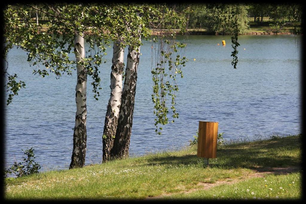 Potápěči čistí dno a břehy Kamencového jezera od odpadu.