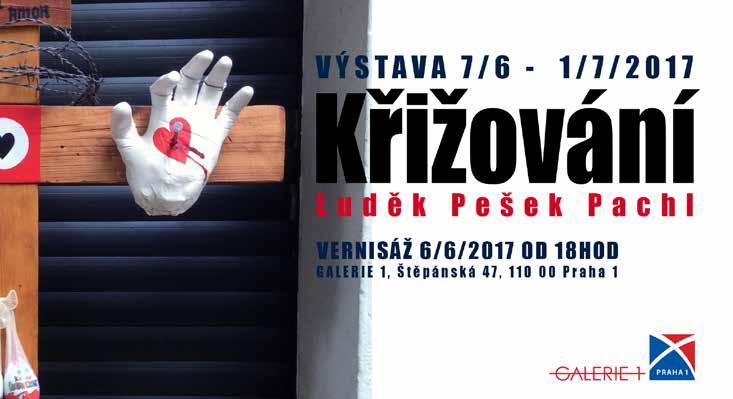 Plavby se budou odlišovat tématem, jež ovlivní doprovodný program každé z nich.