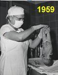 Chirurgické skóre Apgarové Atul Gawande Odhadnutá krevní ztráta (ml) Nejnižší střední TK (mm Hg) Nejnižší srdeční frekvence (tep/min) 0 bodů 1 bod 2 body 3 body 4 body > 1000 600-1000 100-600