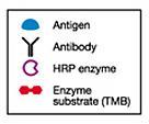 Enzyme-Linked