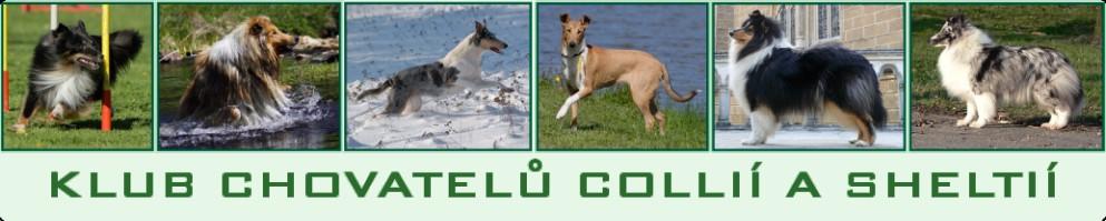 Magazín collie & sheltie Zpravodaj Klubu chovatelů Collií a Sheltií Určeno členům klubu zdarma Redakce: Mlada Svobodová, Humpolec, email: svobodova001@quick.