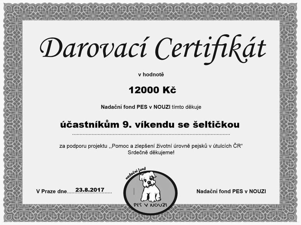 -17-