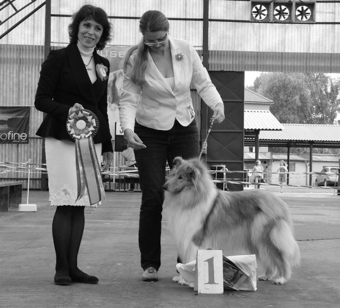 Speciální výstava Mladá Boleslav VD, Bridget od Hamerského rybníka 16. 5. 15 (Gargamel Lago Benea x Daisy z Údolí Lužnice) ch. + m. H. Součková VD, Elis Gold Stříbrná podkova 27. 11.