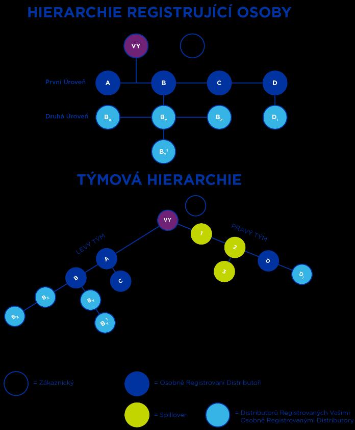 Obrázek 4 Hierarchie registrující osoby: Osobně jste registrovali distributory A D, z nichž každý začíná linii sponzorství ve vaší hierarchii registrující osoby.