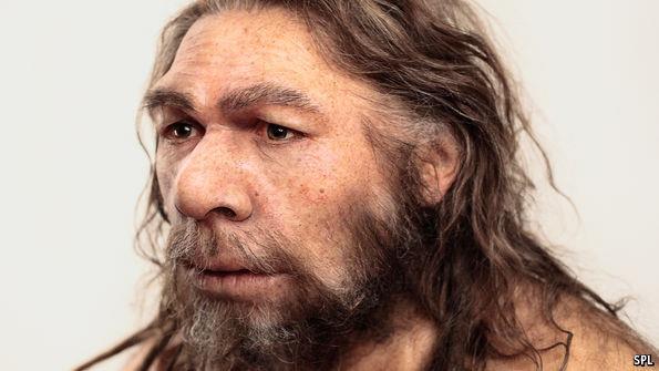 rhesus Homo