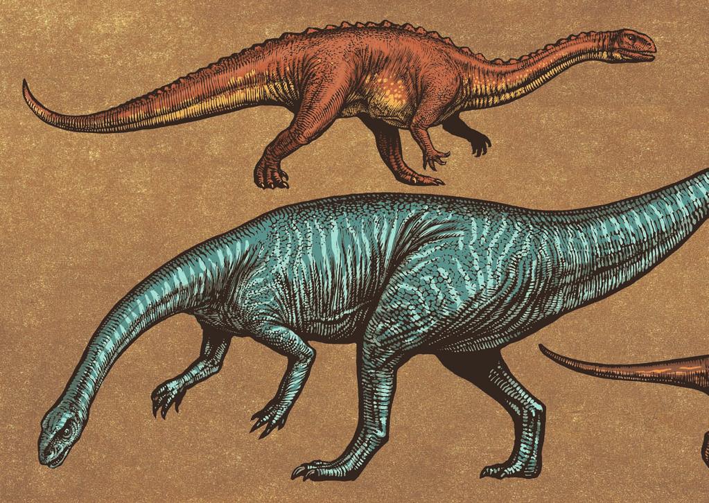 1 2 SAUROPODOMORPHA Primitivní sauropodomorfové Dříve byli tito dinosauři považováni za předchůdce obřích sauropodů, dnes však zjišťujeme, že byli jejich blízkými příbuznými.