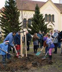 Stromy byly slavnostně zasazeny v jarních a podzimních měsících roku 2018.