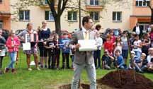 května v městském parku v Českém Krumlově za účasti místostarosty Josefa Hermanna. 25. buk lesní byl zasazen 3.