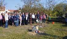 Sázení doprovodilo hudební vystoupení žáků školy a výstava fotografií Bohdana Holomíčka. 74. Sakura byla zasazena 15.