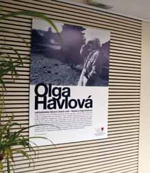 Javory na památku paní Olgy V rámci projektu Rok Olgy Havlové obdrželi hosté slavnostního udílení Ceny Olgy Havlové 300 sazenic javoru dlanitolistého, aby
