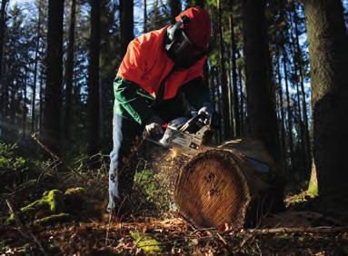 řetězu: Napínání řetězu: 2-taktní 56 cm³ 2,3 kw / 3,1 hp 51 cm, Oregon 0,325, Oregon 0,26 l 0,55 l automatické jednoduché šroubem 30 x 255 x 250 mm 5,5 kg Řetěz a lišta Oregon