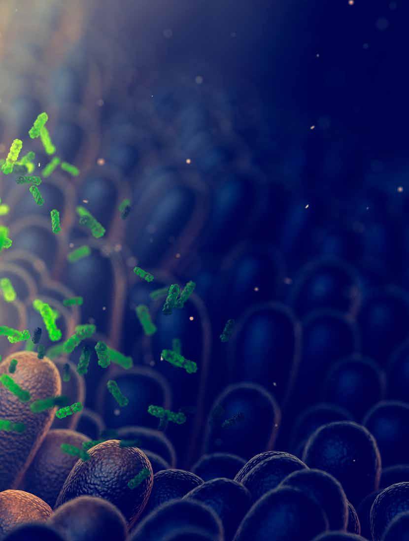 Text: Jana Olivová Foto: Shutterstock (3), Profimedia (4) Život pod taktovkou MIKRO- ORGANISMŮ Žijí na povrchu nebo uvnitř našeho těla, jsou pouhým okem neviditelní, ale přitom doslova řídí náš život.