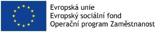 Hlavním nástrojem projektu je podpora spolupráce různých profesí a relevantních organizací tak, aby se dosáhlo maximální možné komplexnosti,