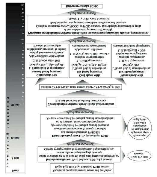 Aug. 124(2):500 8. 10. American Heart Association. Part 2: Systematic approach to the seriously ill or injured child. Chameides L, Samson RA, Schexnayder SM, Hazinski MF, eds.