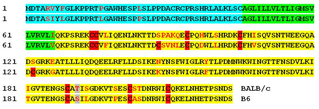 s molekulou Clr-g. Geny kódující Clr-b a g, patřící do rodiny CLEC2, se nacházejí v NKC genovém komplexu a ze strukturního hlediska se jedná o molekuly odvozené od C-lektinů.