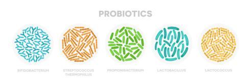 Kromě povinných informací pro doplňky stravy především: Množství živých probiotických bakterií na