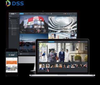 Kdy začít přemýšlet o DSS Pro Velký počet zařízení (kamer) centrální správa