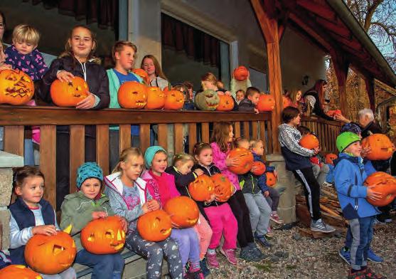 HRADEC Dýňová slavnost 2018. Foto: Martin Veleta občerstvení, po kterém následovala projížďka na ponících, se kterými již tradičně přijela paní Vladislava Kašparová z Žernovky u Mukařova.