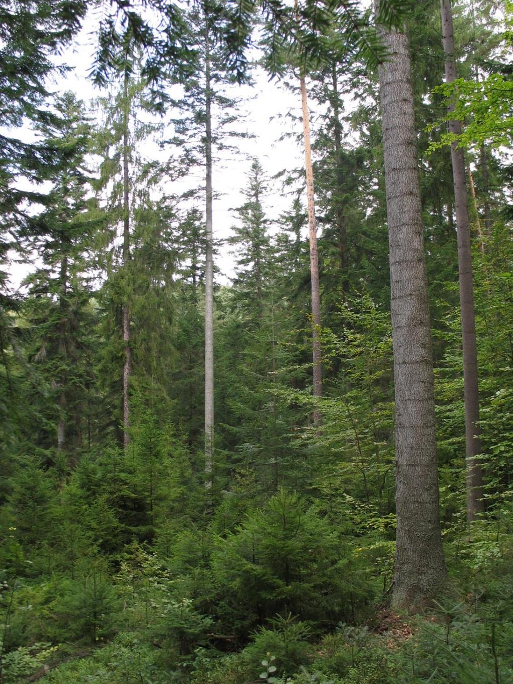 ZMĚNA