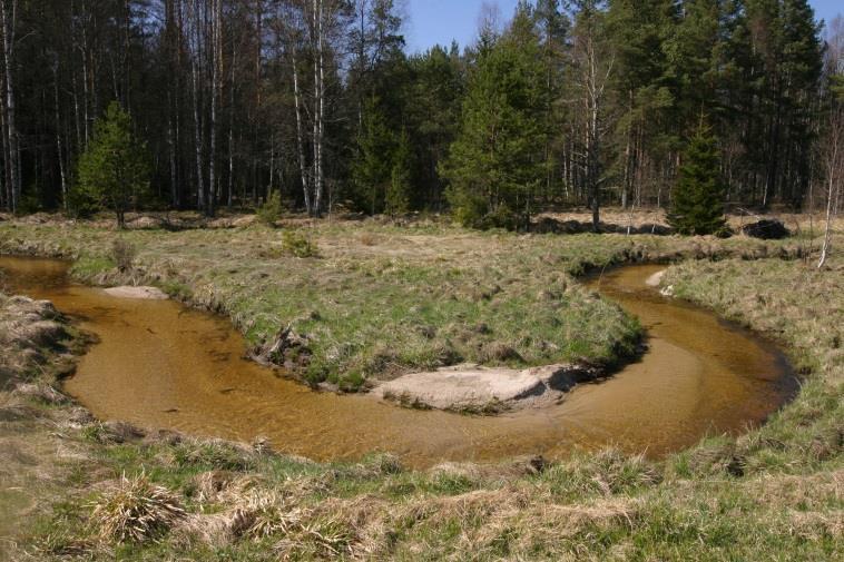 SRPEN 2019 29. 8. TVOŘIVÁ DÍLNA Z OVČÍNA 14.00 16.